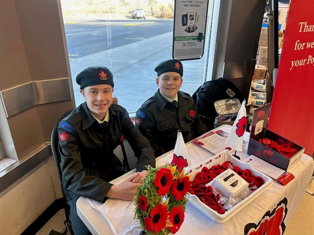 poppy sales